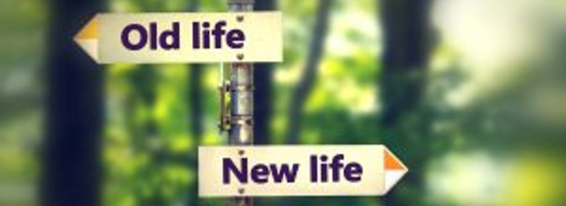 mobile-header-image